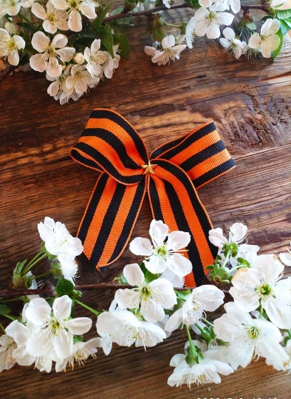 photo_2026-04-27_15-14-39